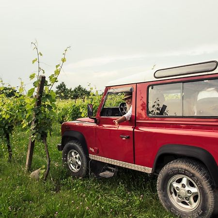 Agriturismo I Mischi Кастельнуово-дель-Гарда Екстер'єр фото