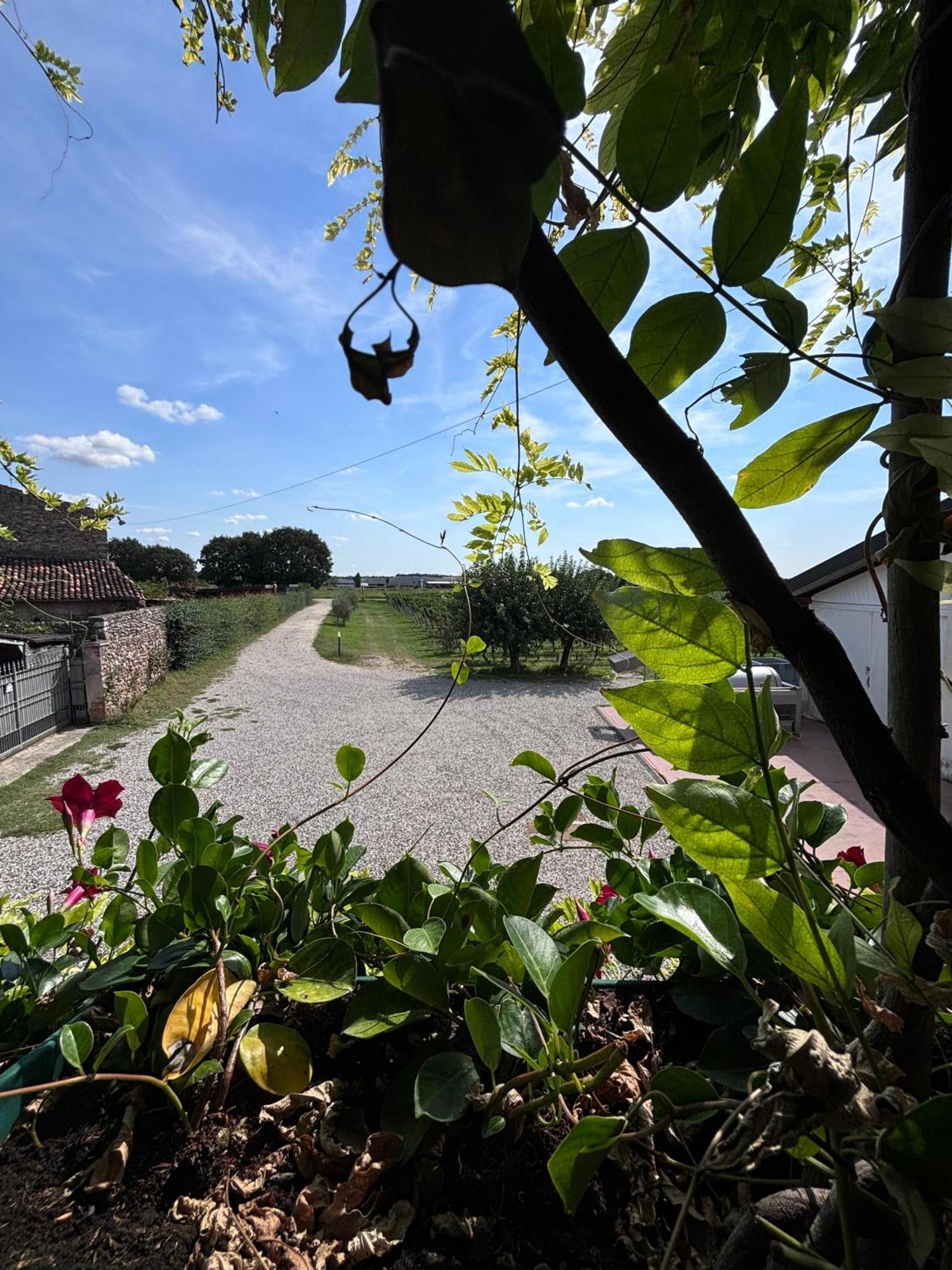 Agriturismo I Mischi Кастельнуово-дель-Гарда Екстер'єр фото