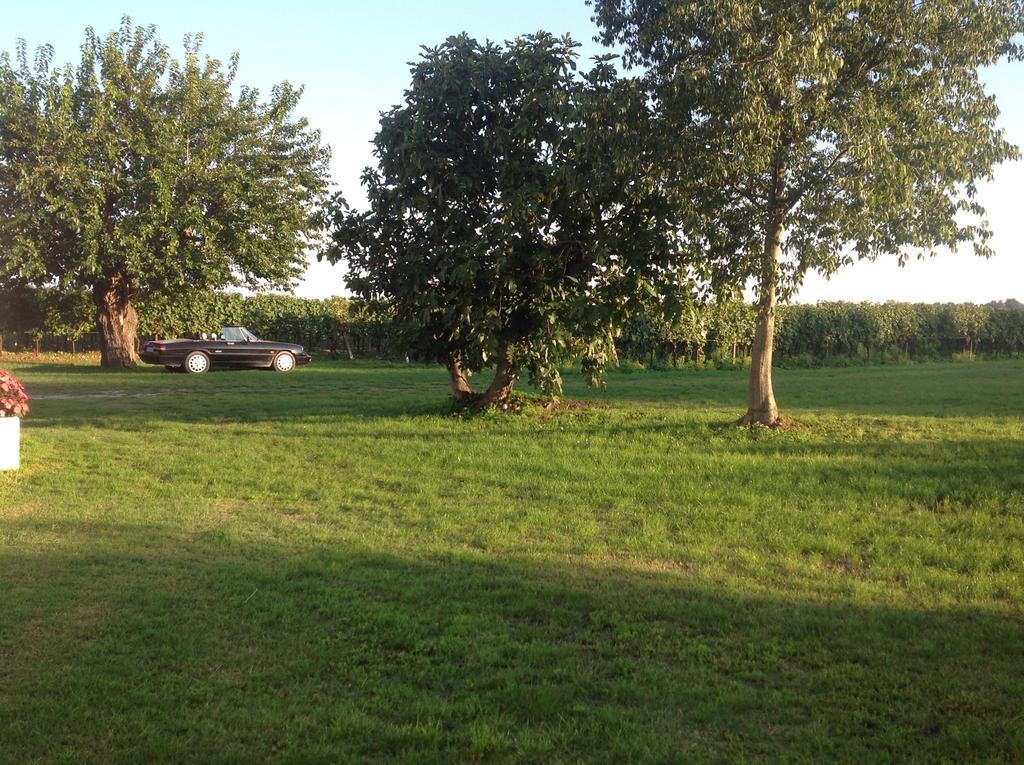 Agriturismo I Mischi Кастельнуово-дель-Гарда Екстер'єр фото